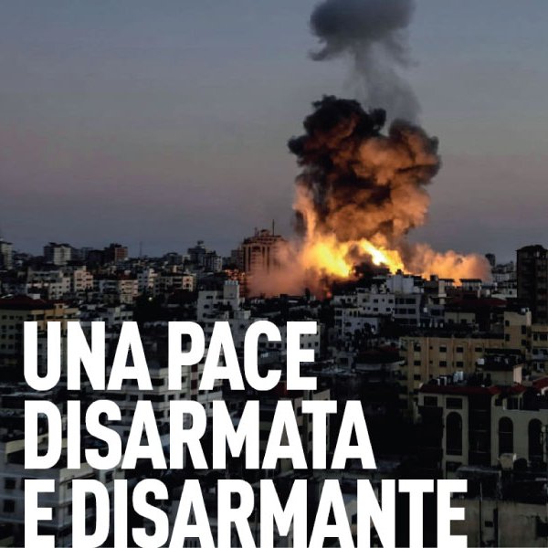 pace-disarmante