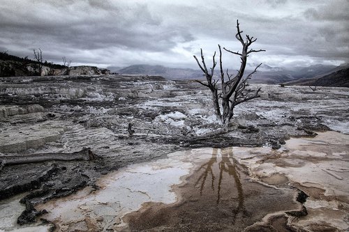 paesaggio-desolato.jpg